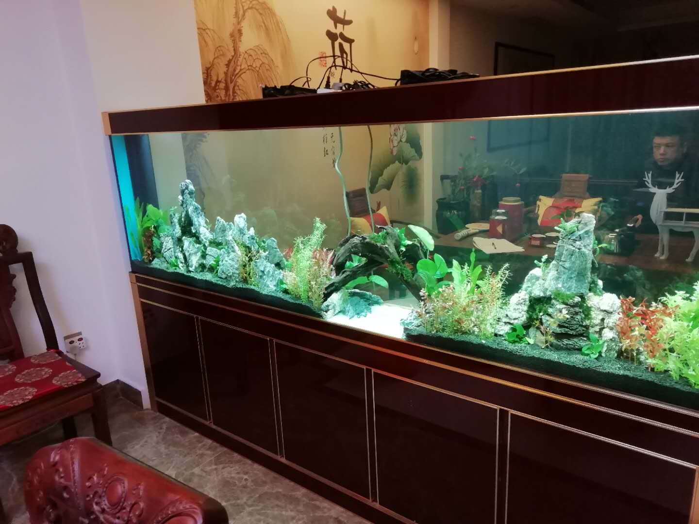 造景魚缸